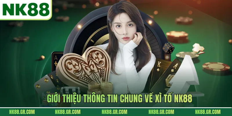 Giới thiệu thông tin chung về xì tố NK88
