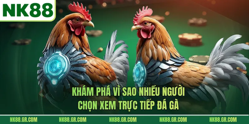 Khám phá vì sao nhiều người chọn xem trực tiếp đá gà