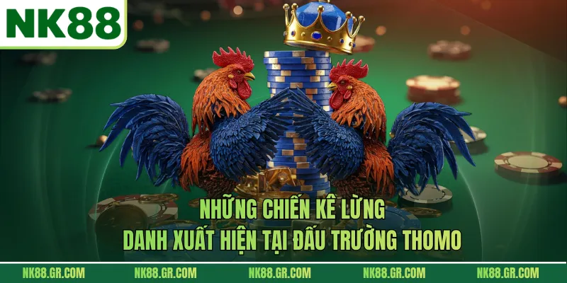 Những chiến kê lừng danh xuất hiện tại đấu trường Thomo