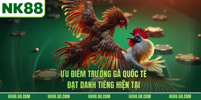 Ưu điểm trường gà quốc tế đạt danh tiếng hiện tại